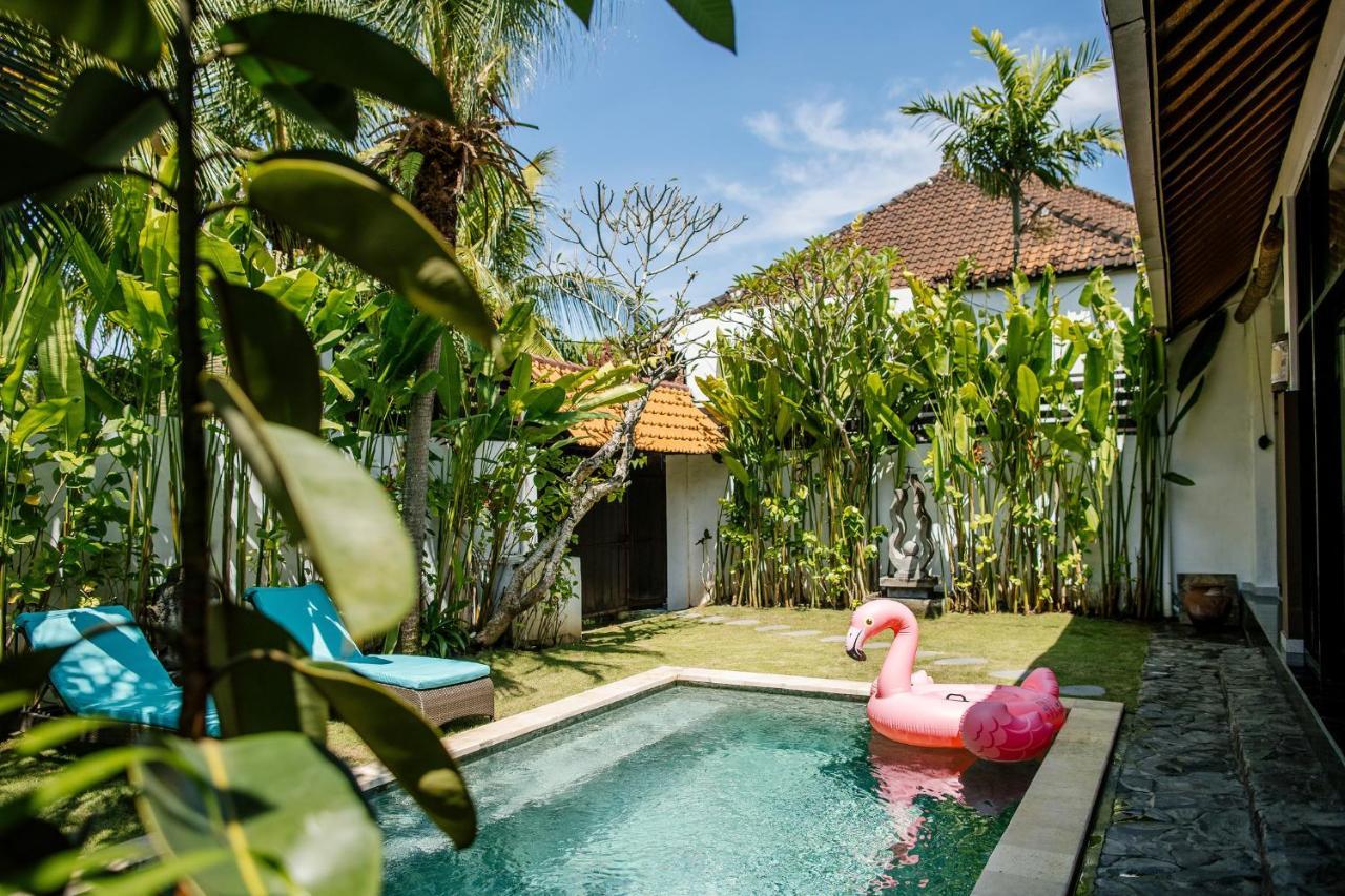 Villa Saga Oasis *